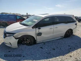 2024 Honda Odyssey Sport with VIN 5FNRL6H72RB067314, listed as a Copart auction lot 50687805 with 20,805 mi miles and Salvage Title. Bid and sale history available at DreamBid. Image 1.