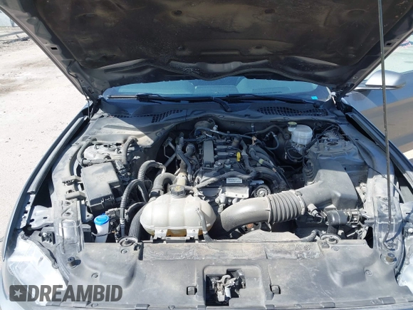 2021 Ford Mustang EcoBoost with VIN 1FA6P8TH2M5138000, listed as a IAAI auction lot 41994849 with 41,024 mi miles and . Bid and sale history available at DreamBid. Image 10.