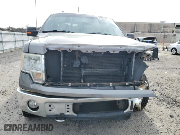 2010 Ford F-150 XL with VIN 1FTFX1EV0AFD15024, listed as a Copart auction lot 45851565 with 164,712 mi miles and Salvage Title. Bid and sale history available at DreamBid. Image 5.