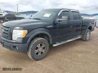 2010 Ford F-150 XL with VIN 1FTFW1EV2AKC53345, listed as a IAAI auction lot 41925086 with 218,833 mi miles. Bid and sale history available at carsss.com. Image 2.