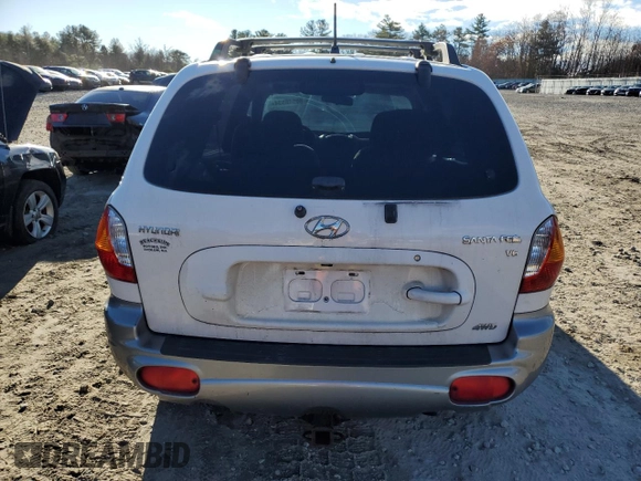 2004 Hyundai Santa Fe GLS with VIN KM8SC73D34U825791, listed as a Copart auction lot 80548534 with 124,080 mi miles and Clean Title. Bid and sale history available at DreamBid. Image 6.