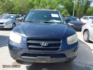 2009 Hyundai Santa Fe GLS with VIN 5NMSG13D39H241332, listed as a IAAI auction lot 42009902 with 192,929 mi miles. Bid and sale history available at carsss.com. Image 14.