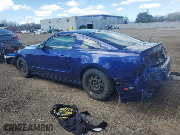2014 Ford Mustang V6 with VIN 1ZVBP8AM9E5317478, listed as a Copart auction lot 53539755 with 305,642 mi miles and Salvage Title. Bid and sale history available at carsss.com. Image 2.