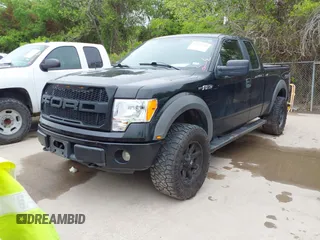 2010 Ford F-150 XL with VIN 1FTEX1EW1AFB90443, listed as a IAAI auction lot 41955720 with 184,104 mi miles. Bid and sale history available at carsss.com. Image 17.