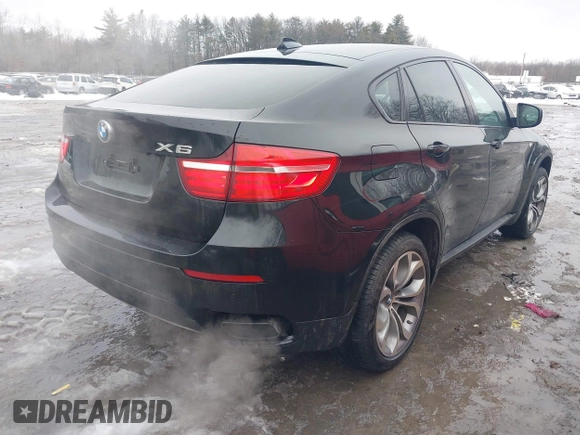 2014 BMW X6 50i z VIN 5UXFG8C51EL592380, wystawiony jako IAAI lot #41566410 z przebiegiem 110 142 mil mil oraz . Historia ofert i sprzedaży dostępna na DreamBid. Obrazek 4.