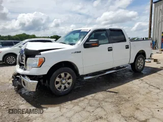 2009 Ford F-150 XL with VIN 1FTRW12899FA58701, listed as a Copart auction lot 60569705 with 129,107 mi miles and Salvage title. Bid and sale history available at DreamBid. Image 1.