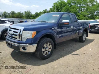 2009 Ford F-150 STX with VIN 1FTRX14879FA97944, listed as a Copart auction lot 61991685 with 196,339 mi miles and Salvage title. Bid and sale history available at DreamBid. Image 1.