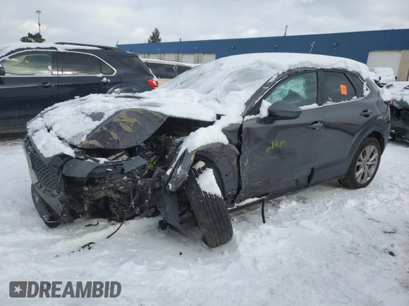 2020 Mazda CX-30 Select with VIN 3MVDMBCL0LM125331, listed as a Copart auction lot 43051355 with Not Provided miles and Non Repairable. Bid and sale history available at DreamBid. Image 1.