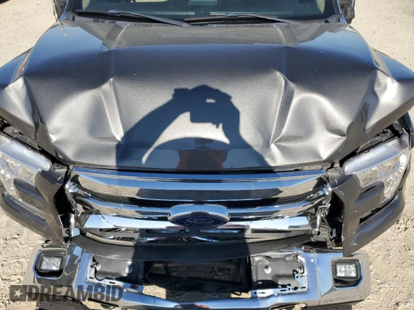 2017 Ford F-150 XL with VIN 1FTEW1EP9HKE16709, listed as a Copart auction lot 66039295 with 95,713 mi miles and Salvage title. Bid and sale history available at DreamBid. Image 11.