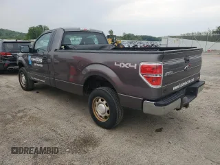 2013 Ford F-150 XL with VIN 1FTMF1EM7DKG42811, listed as a Copart auction lot 58359895 with 133,518 mi miles and Clean title. Bid and sale history available at DreamBid. Image 2.