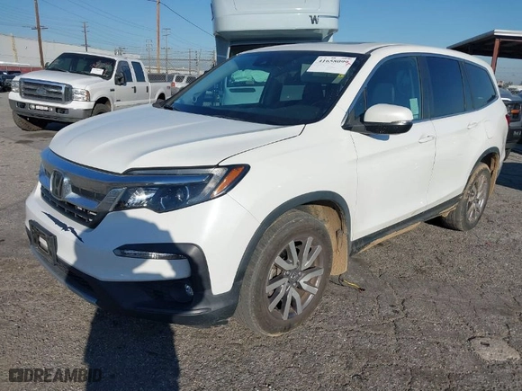2021 Honda Pilot EX-L with VIN 5FNYF5H59MB015179, listed as a IAAI auction lot 41658099 with 46,131 mi miles. Bid and sale history available at carsss.com. Image 2.