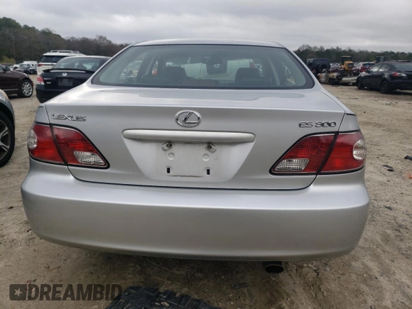 2002 Lexus ES 300 with VIN JTHBF30GX20080060, listed as a Copart auction lot 51731905 with 207,037 mi miles and Salvage Title. Bid and sale history available at DreamBid. Image 6.