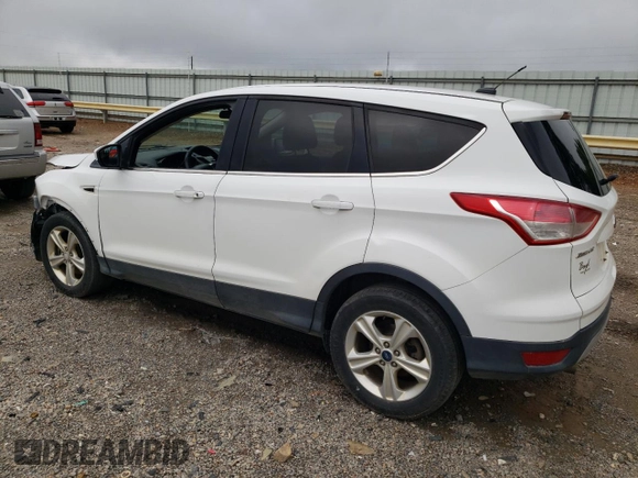 2013 Ford Escape SE with VIN 1FMCU0G91DUC27164, listed as a Copart auction lot 60989985 with 189,612 mi miles and Salvage title. Bid and sale history available at DreamBid. Image 2.