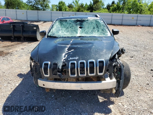 2014 Jeep Cherokee Latitude with VIN 1C4PJLCS9EW106042, listed as a Copart auction lot 53978945 with Not Provided miles and Clean Title. Bid and sale history available at DreamBid. Image 5.