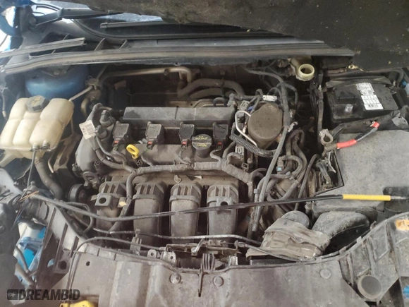 2014 Ford Focus SE with VIN 1FADP3F26EL156210, listed as a Copart auction lot 50603195 with 0 mi miles and Salvage Title. Bid and sale history available at carsss.com. Image 12.