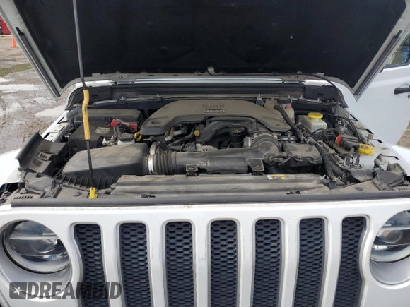 2019 Jeep Wrangler Unlimited Sahara with VIN 1C4HJXEG9KW547685, listed as a Copart auction lot 60901085 with 81,169 mi miles and Salvage title. Bid and sale history available at DreamBid. Image 11.