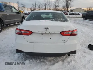 2019 Toyota Camry LE with VIN 4T1B11HK2KU818757, listed as a Copart auction lot 45773145 with 106,210 mi miles and Salvage Title. Bid and sale history available at carsss.com. Image 6.