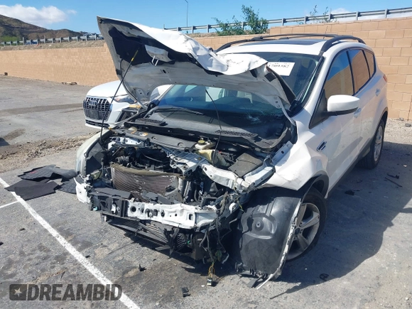 2014 Ford Escape SE with VIN 1FMCU9GX5EUB53378, listed as a IAAI auction lot 41709382 with Not provided miles and . Bid and sale history available at DreamBid. Image 6.