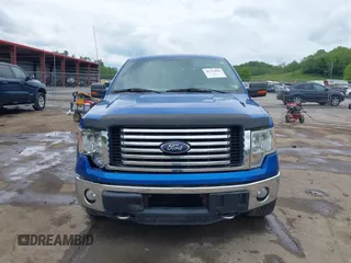 2011 Ford F-150 XLT with VIN 1FTFW1ET7BFB22128, listed as a IAAI auction lot 42214865 with 238,616 mi miles and . Bid and sale history available at DreamBid. Image 12.