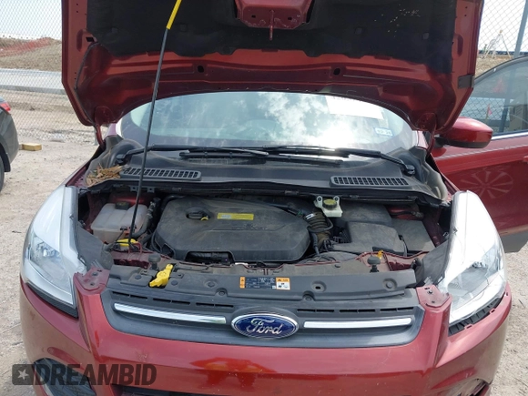 2014 Ford Escape SE with VIN 1FMCU0GX5EUA58458, listed as a IAAI auction lot 42057481 with 38,905 mi miles. Bid and sale history available at carsss.com. Image 10.