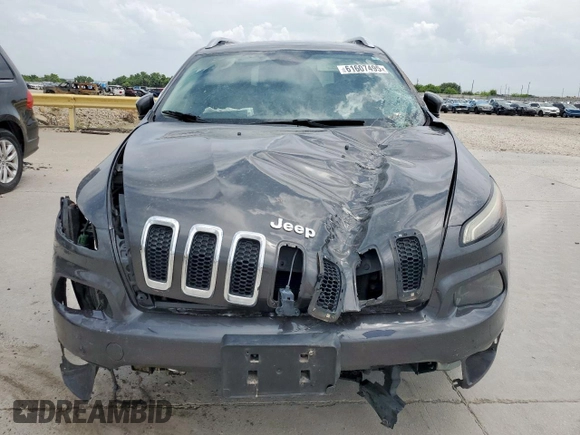 2014 Jeep Cherokee Limited with VIN 1C4PJLDS0EW238119, listed as a Copart auction lot 61607495 with 181,689 mi miles and Salvage title. Bid and sale history available at DreamBid. Image 5.