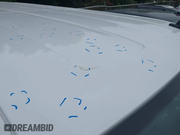 2023 Ford Transit Passenger XL with VIN 1FBAX2Y81PKA49071, listed as a IAAI auction lot 42309750 with 73,946 mi miles and . Bid and sale history available at DreamBid. Image 6.