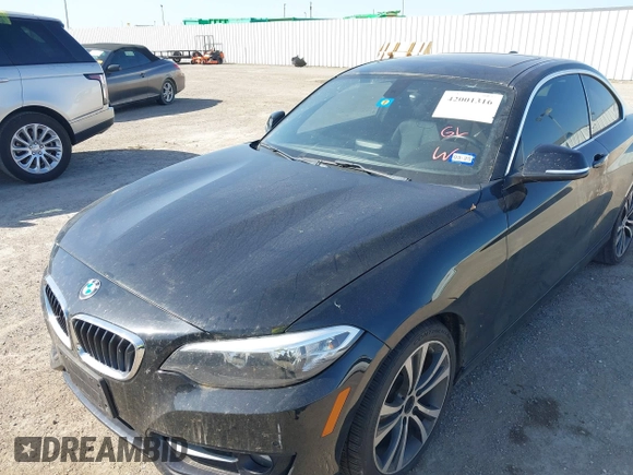 2016 BMW 2 Series 228i with VIN WBA1F5C54GV343752, listed as a IAAI auction lot 42001316 with 95,474 mi miles and . Bid and sale history available at DreamBid. Image 6.