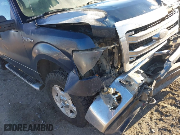 2014 Ford F-150 XL with VIN 1FTFX1EFXEKF58118, listed as a IAAI auction lot 41019106 with 119,933 mi miles. Bid and sale history available at carsss.com. Image 6.