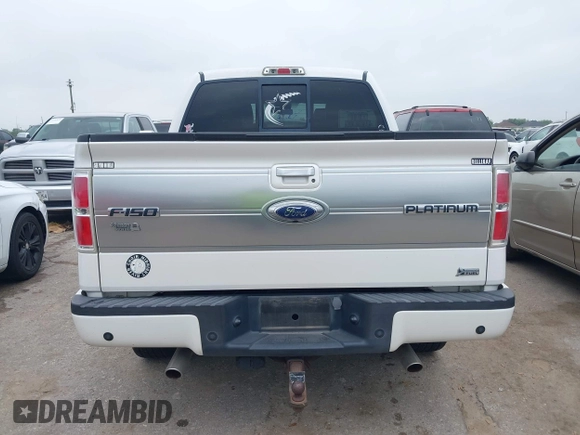 2010 Ford F-150 XL with VIN 1FTFW1EV3AFA45158, listed as a IAAI auction lot 41927394 with 178,328 mi miles. Bid and sale history available at carsss.com. Image 16.