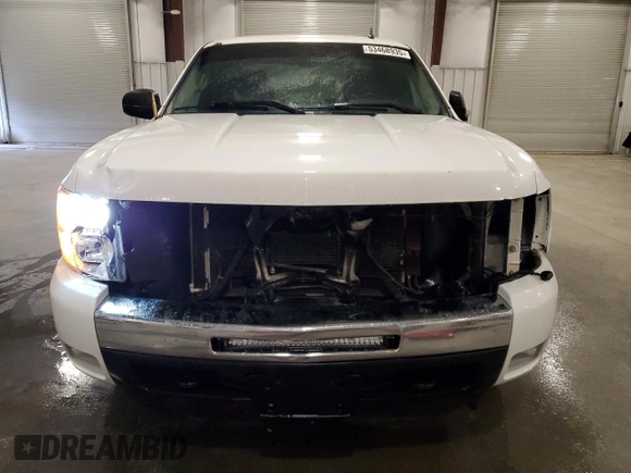 2009 Chevrolet Silverado 1500 LT with VIN 1GCEK290X9Z268285, listed as a Copart auction lot 53468935 with 178,263 mi miles and Salvage Title. Bid and sale history available at DreamBid. Image 5.