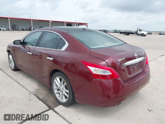 2009 Nissan Maxima SV with VIN 1N4AA51E89C841882, listed as a IAAI auction lot 42146151 with 132,425 mi miles and . Bid and sale history available at DreamBid. Image 3.