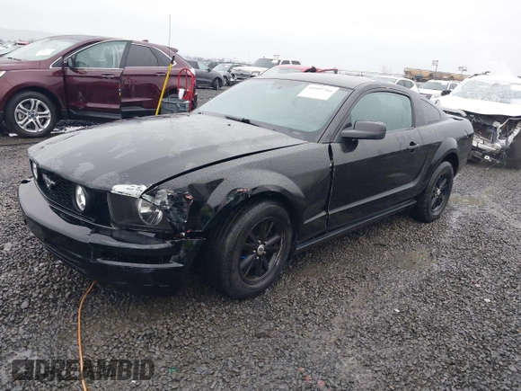 2006 Ford Mustang Standard with VIN 1ZVFT80N565161531, listed as a IAAI auction lot 41097766 with 149,250 mi miles and . Bid and sale history available at DreamBid. Image 17.