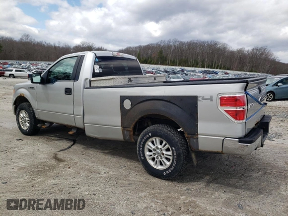 2011 Ford F-150 with VIN 1FTPF1EFXBKD33183, listed as a Copart auction lot 50461285 with 132,718 mi miles and Clean title. Bid and sale history available at DreamBid. Image 2.
