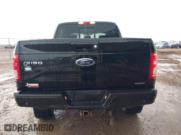 2016 Ford F-150 XLT with VIN 1FTEW1EF2GKF81247, listed as a IAAI auction lot 42146880 with 137,566 mi miles and . Bid and sale history available at DreamBid. Image 16.