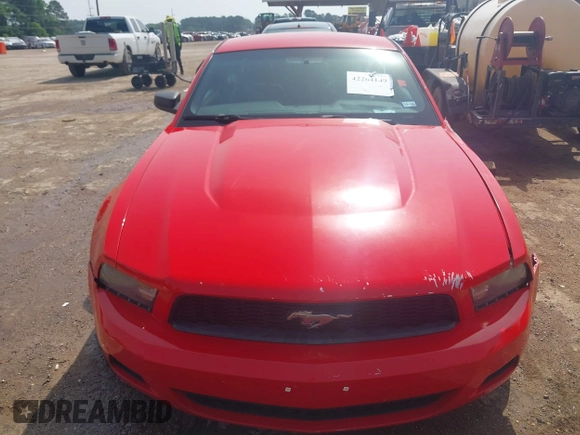 2012 Ford Mustang Premium with VIN 1ZVBP8AM2C5208051, listed as a IAAI auction lot 42264149 with Not provided miles and . Bid and sale history available at DreamBid. Image 13.