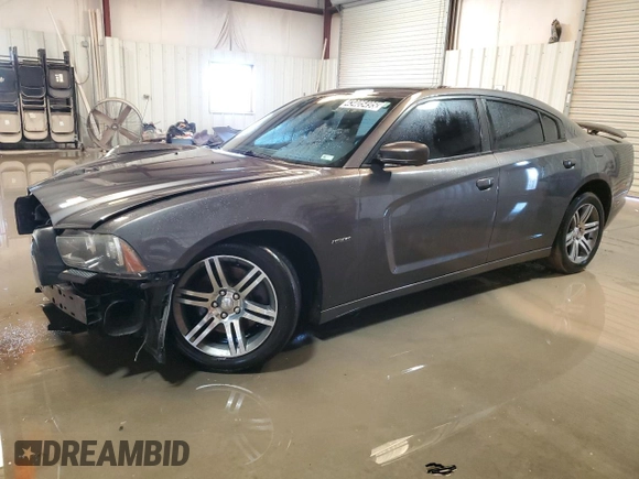 2013 Dodge Charger RT with VIN 2C3CDXCT3DH715831, listed as a Copart auction lot 43405495 with 112,482 mi miles and Clean Title. Bid and sale history available at carsss.com. Image 1.