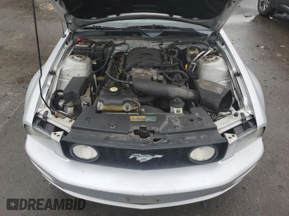 2008 Ford Mustang GT Deluxe with VIN 1ZVHT82HX85162578, listed as a Copart auction lot 61166105 with Not provided miles and Salvage title. Bid and sale history available at DreamBid. Image 11.