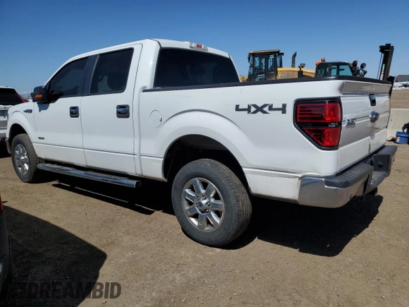 2013 Ford F-150 XL with VIN 1FTFW1ET0DKG28880, listed as a Copart auction lot 52235305 with 229,066 mi miles and Clean Title. Bid and sale history available at carsss.com. Image 2.