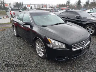 2009 Nissan Maxima SV with VIN 1N4AA51E39C856967, listed as a IAAI auction lot 41919510 with 231,933 mi miles and . Bid and sale history available at DreamBid. Image 1.