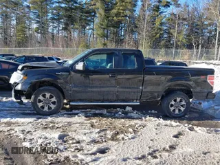 2013 Ford F-150 XL with VIN 1FTFX1EF1DKF58216, listed as a IAAI auction lot 41434043 with 112,187 mi miles and . Bid and sale history available at DreamBid. Image 14.