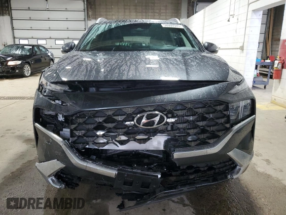 2023 Hyundai Santa Fe Calligraphy with VIN 5NMS5DAL6PH511782, listed as a Copart auction lot 58000945 with 31,566 mi miles and Salvage title. Bid and sale history available at DreamBid. Image 5.