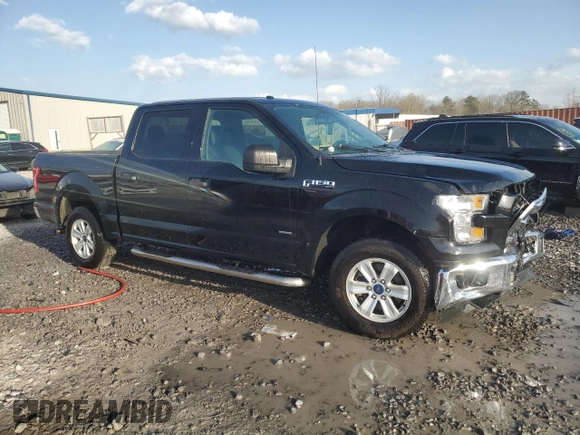 2017 Ford F-150 XL with VIN 1FTEW1CG9HFB34923, listed as a Copart auction lot 48491175 with 163,050 mi miles and Salvage Title. Bid and sale history available at DreamBid. Image 4.