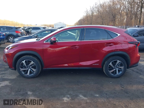 2021 Lexus NX 300h with VIN JTJGJRDZ1M2163515, listed as a IAAI auction lot 41553631 with 43,371 mi miles and . Bid and sale history available at DreamBid. Image 14.