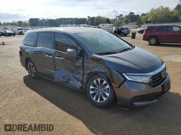 2024 Honda Odyssey EX-L with VIN 5FNRL6H6XRB016148, listed as a Copart auction lot 50639375 with 27,113 mi miles and Salvage Title. Bid and sale history available at DreamBid. Image 4.