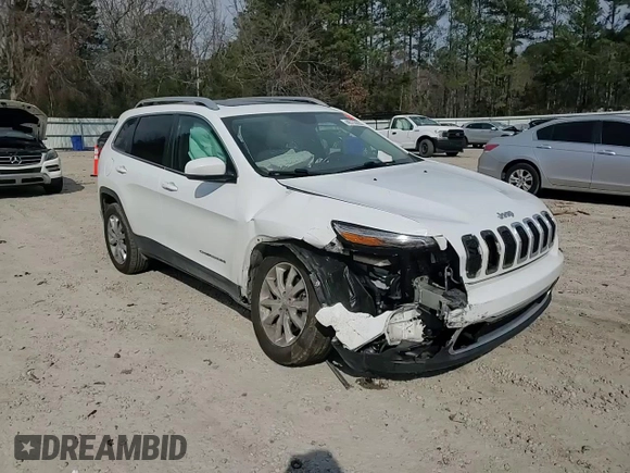 2016 Jeep Cherokee Limited with VIN 1C4PJMDS7GW254214, listed as a Copart auction lot 46733055 with 130,117 mi miles and Salvage Title. Bid and sale history available at DreamBid. Image 11.