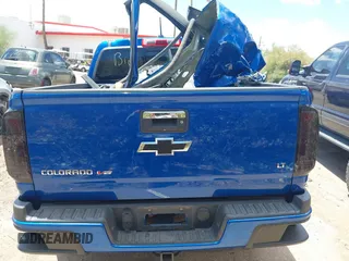 2019 Chevrolet Colorado 2WD LT with VIN 1GCGSCEN1K1305373, listed as a IAAI auction lot 42708560 with Not provided miles and . Bid and sale history available at DreamBid. Image 16.