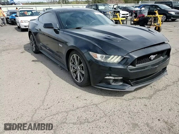 2015 Ford Mustang GT with VIN 1FA6P8CF5F5340461, listed as a Copart auction lot 54206965 with 75,313 mi miles and Salvage Title. Bid and sale history available at DreamBid. Image 13.