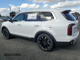 2024 Kia Telluride SX X-Line with VIN 5XYP5DGC2RG549861, listed as a Copart auction lot 81033054 with 24 mi miles and Salvage Title. Bid and sale history available at carsss.com. Image 2.