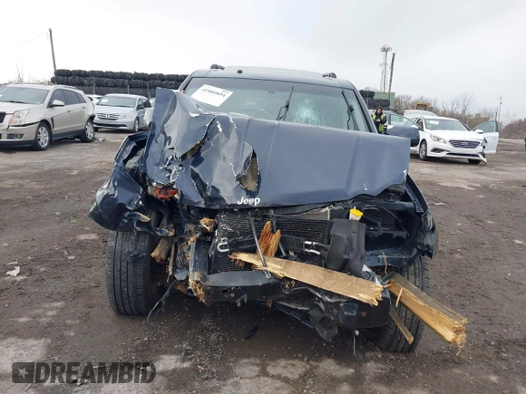 2009 Jeep Grand Cherokee Limited with VIN 1J8HR58P89C542314, listed as a IAAI auction lot 41880894 with 103,032 mi miles and . Bid and sale history available at DreamBid. Image 6.