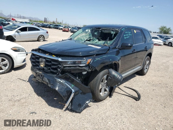 2024 Honda Pilot EX-L 8 Passenger with VIN 5FNYG1H49RB016059, listed as a Copart auction lot 61199604 with 0 mi miles and Salvage Title. Bid and sale history available at carsss.com. Image 1.